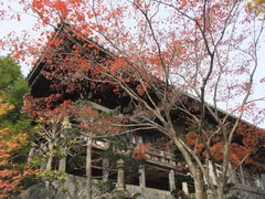 DSCF1132.JPG