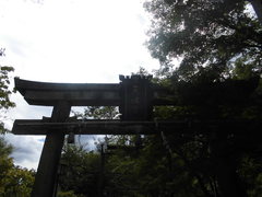 長岡 020.jpg
